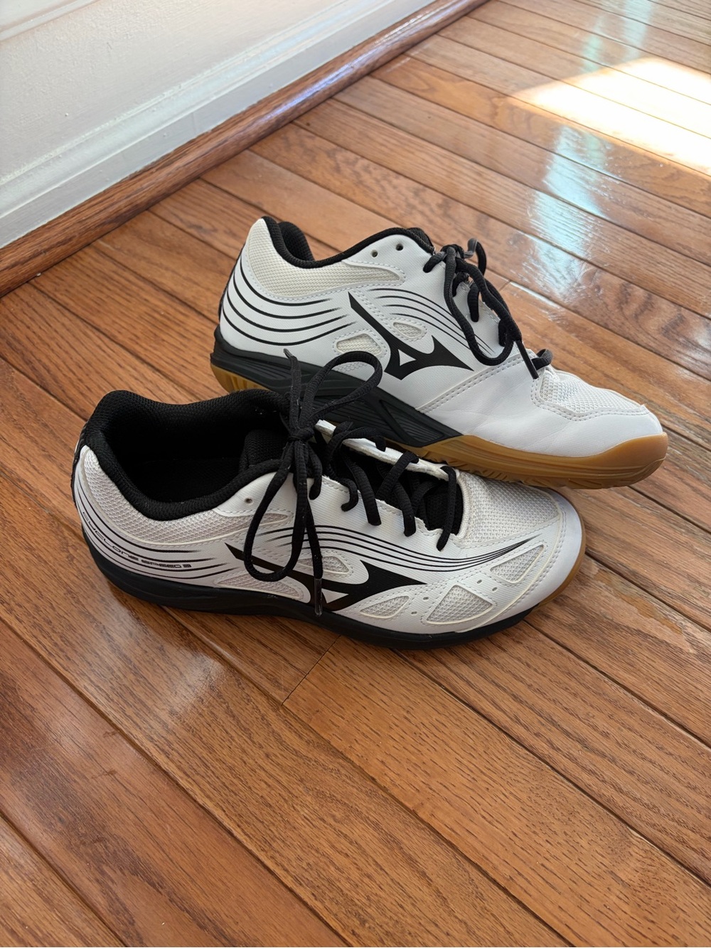 Mizuno Women’s Cyclone Speed 3Volleyball shoe